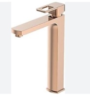 BİEN PRUVA YÜKSEK TIP VE EVİYE BAT ROSE GOLD