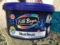 FİLLİ BOYA NUCLEUS DCB RG1 7.5 LT