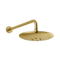 NSK 2892119 DUŞ BAŞLIĞI DUVARDAN SABİT.ALTIN