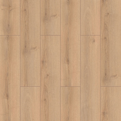 FP SUNEX SAHRA MEŞE AC3-D.Lİ 2,374